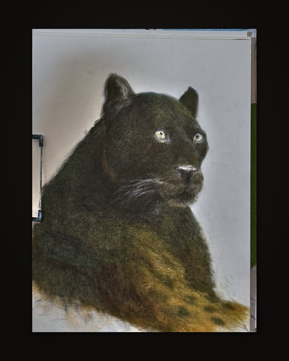 Black Leopard