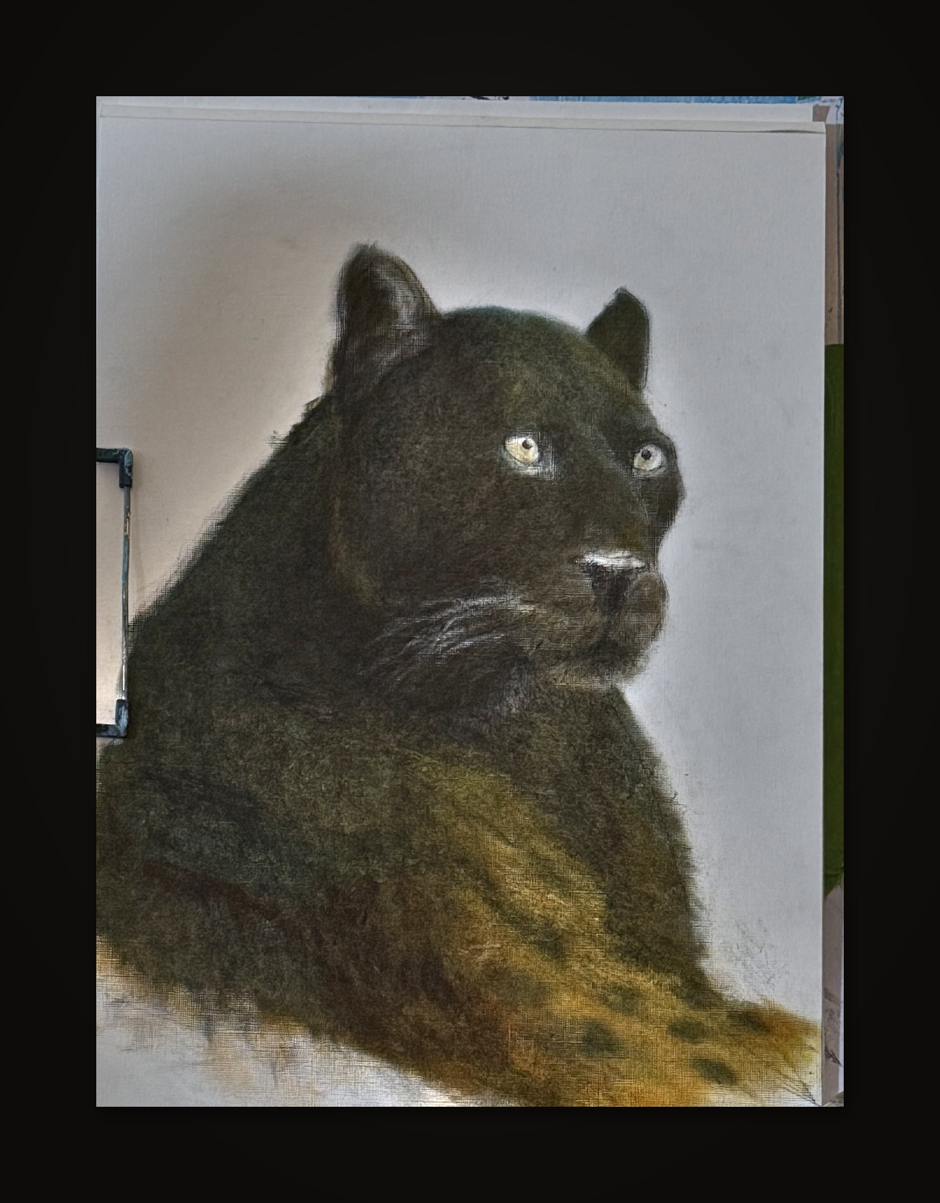 Black Leopard