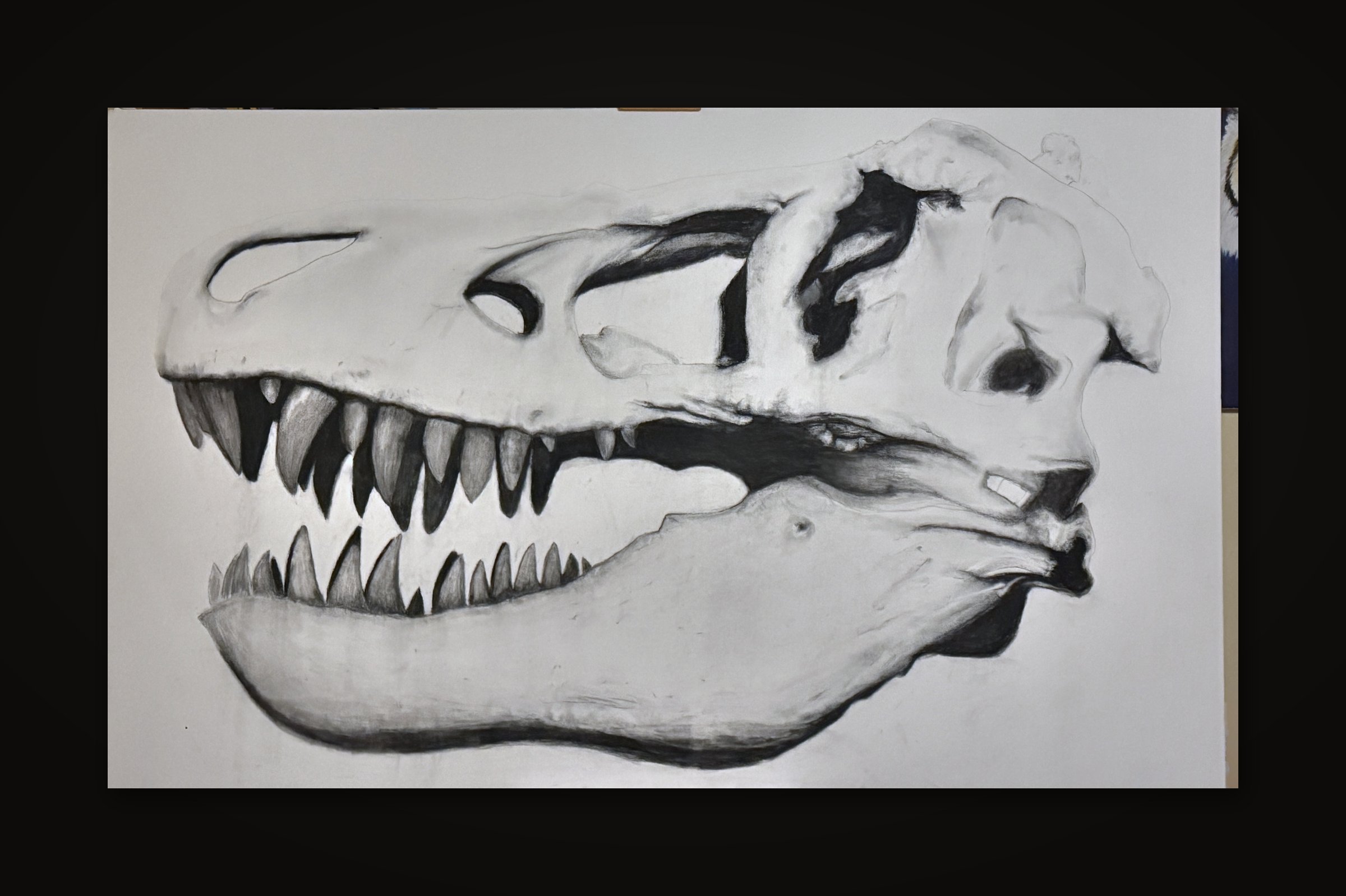 Skull